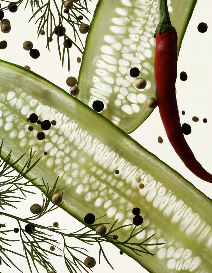 Berry Treasure Trove: Nature's Sweet Gems